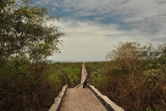 O longo caminho para Tortuga Bay, na Ilha de Santa Cruz, em Galápagos